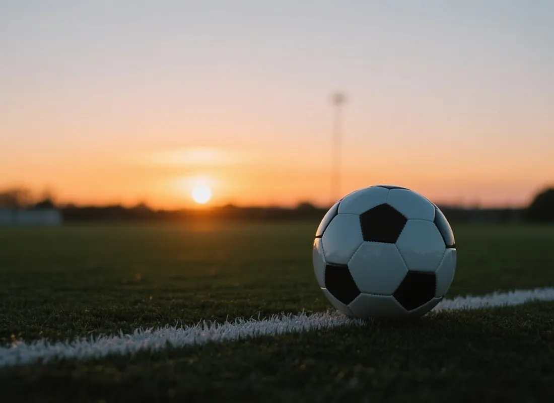 足球与绿茵场景